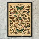 botaniska posters vintage - Vintage shop