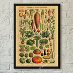 botaniska posters vintage - Vintage shop