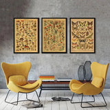 botaniska posters vintage - Vintage shop