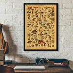 botaniska posters vintage - Vintage shop