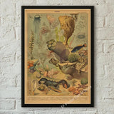 botaniska posters vintage - Vintage shop