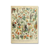 poster blommor vintage - Vintage shop