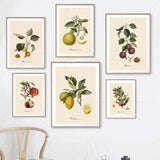 vintage fruit posters - Vintage shop