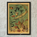 botaniska posters vintage - Vintage shop