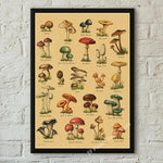 botaniska posters vintage - Vintage shop