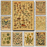 botaniska posters vintage - Vintage shop