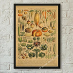 botaniska posters vintage - Vintage shop