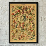 botaniska posters vintage - Vintage shop