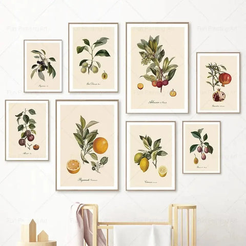 vintage fruit posters - Vintage shop