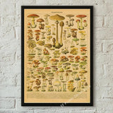 botaniska posters vintage - Vintage shop