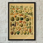 botaniska posters vintage - Vintage shop