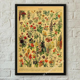 botaniska posters vintage - Vintage shop