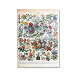 poster blommor vintage - Vintage shop