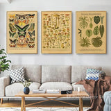 botaniska posters vintage - Vintage shop