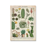 poster blommor vintage - Vintage shop