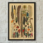 botaniska posters vintage - Vintage shop