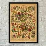 botaniska posters vintage - Vintage shop