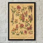 botaniska posters vintage - Vintage shop