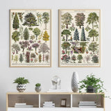 poster blommor vintage - Vintage shop